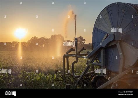 Silhouette Of Agricultural Irrigation System Watering Cornfield At