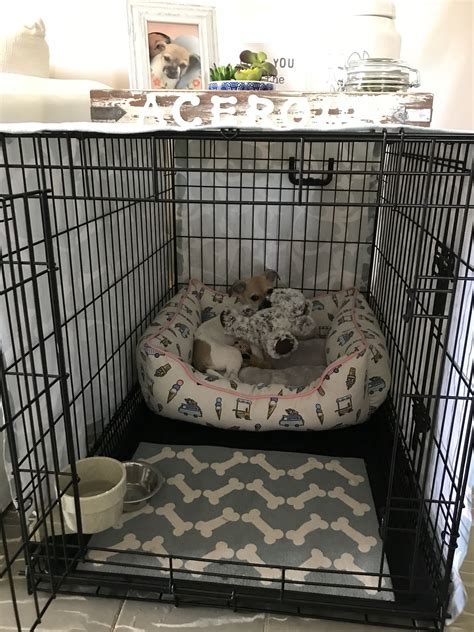 Dog Crate Ideas She Loves Her New Corner😍 Dog Kennel Cover Dog