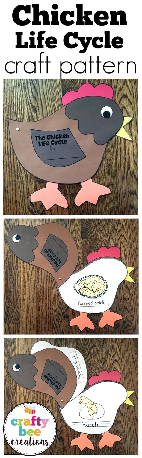 Chicken Life Cycle Craft Farm Animal Craft Activities Life Cycle Of A