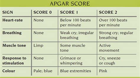 Apgar Score Nursing