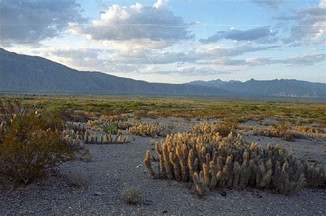Las Pozas De Cuatro Ciénegas El Desierto Desiertos Y México
