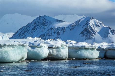 Clima Polar Qué Es Características Flora Y Fauna Resumen