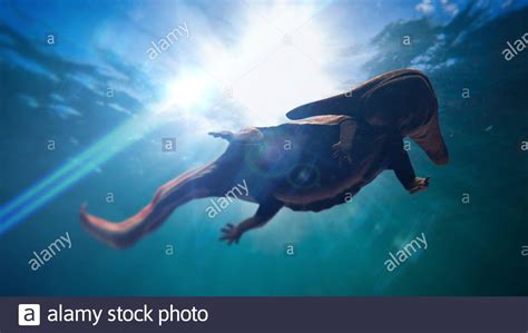 Permian Period Hi Res Stock Photography And Images Alamy