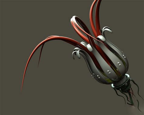 Pink, flower, petal, flowers, blossom, bloom, plant, floral. Animals Zoo Park: Nature Flowers Wallpapers, Wallpapers of ...