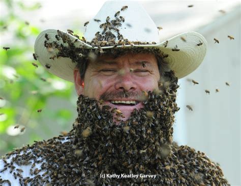 Brians Bee Beard Bug Squad Anr Blogs