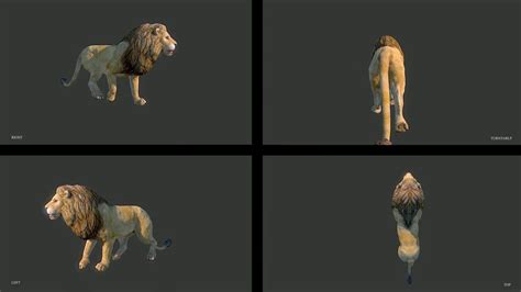 Lion 3d View ووردز