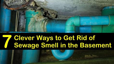 7 Clever Ways To Get Rid Of Sewage Smell In The Basement 2022