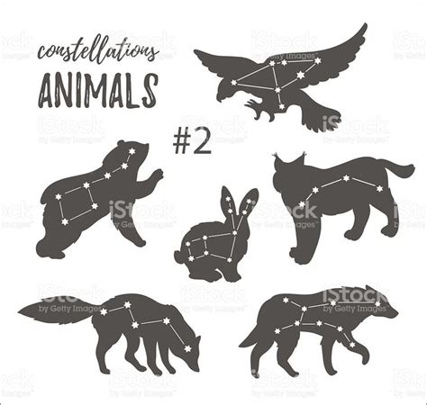Hand Drawn Isolated Silhouettes Of Animals With Constellations Vector
