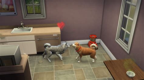 Sims 4 Pets In All Worlds Mod Hairret