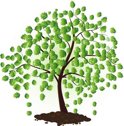 Green Tree Vectors Images Graphic Art Designs In Editable Ai Eps Svg