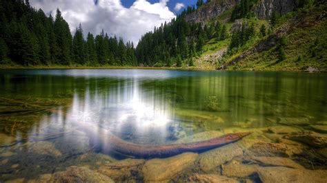 Pictures Kosovo Nature Lake Forests Scenery Reflection 2560x1440