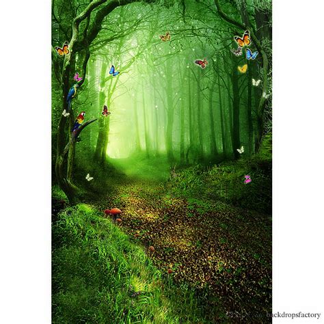 Fairy Tale Forest Graphic Studio Booth Backgrounds Trees Cartoon Fairy
