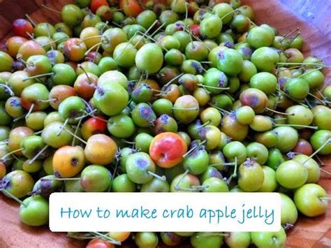 _ orange juice is there in your glass? Grown in Suburbia: Crab Apple Jelly | Crab apple jelly ...