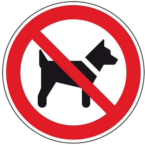 Hunde verboten schild ausdrucken : Verbotsschild Mitführen von Hunden, Folie, selbstklebend ...