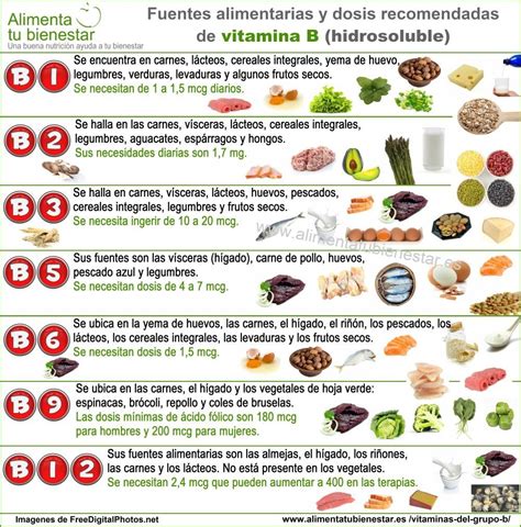 Las Vitaminas Del Grupo B Beneficios Y Fuentes Alimentarias En