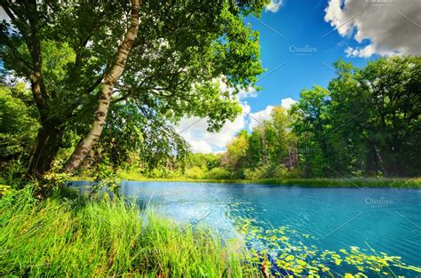 Clean Tranquil Lake In Summer Forest High Quality Nature Stock Photos