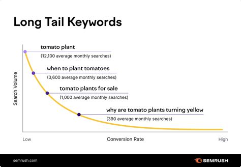 What Are Long Tail Keywords