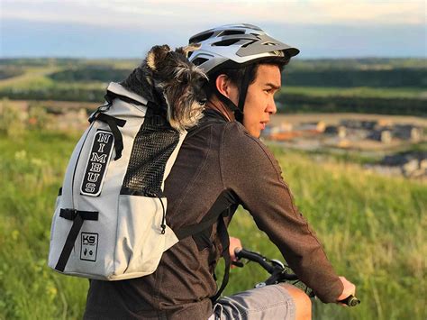 10 Best Dog Carrier Backpacks [Review & Guide] In 2020