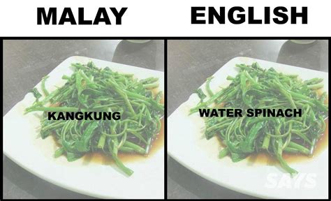 Jump to navigation jump to search. What's Pandan And Ciku In English? We Dug Up Translations ...