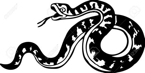 At the risk of repeating myself, snakes are beautiful and fascinating thank you very much for this! Python Snake Drawing at GetDrawings.com | Free for ...