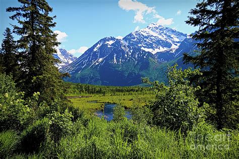 Eagle River Alaska Photograph By Amber D Hathaway Photography
