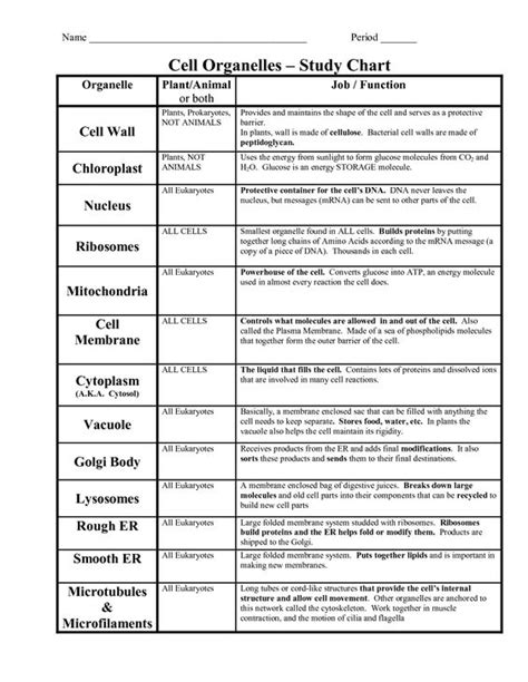Maybe you would like to learn more about one of these? Animal Cell Organelles Their Functions Chart | School ...