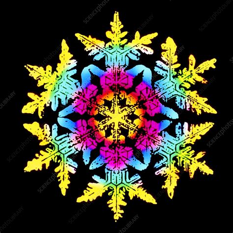 Coloured Computer Enhanced Image Of A Snow Crystal Snowflakes Show A