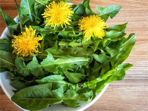 Wild Greens Common Edible Weeds In Your Yard