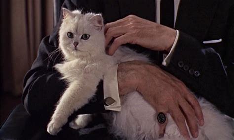 (i decided to draw blofeld and his fluffy white persian cat. Blofeld in From Russia with Love 1963