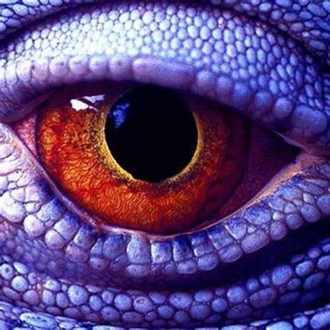 Realistic drawing isn't that hard. Eye drawing. Colored pencils. Art lesson. #reptiles # ...