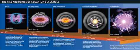 The Rise And Demise Of A Quantum Black Hole Scienceimages
