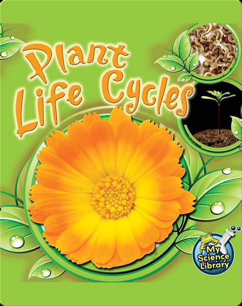 Plant Life Cycles Childrens Book By Julie Lundgren Discover Children