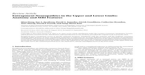 Pdf Entrapment Neuropathies In The Upper And Lower Limbs Anatomy