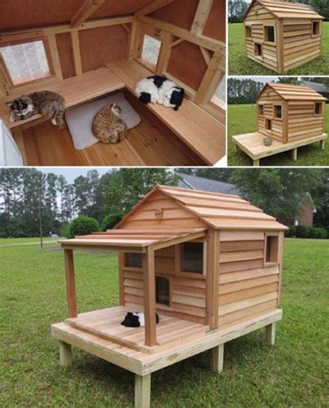 Diy Outdoor Cat House Plans Ideas