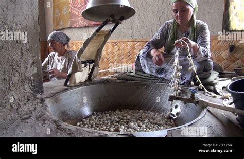 Traditional Silk Production Steaming And Unravelling Cocoons Central