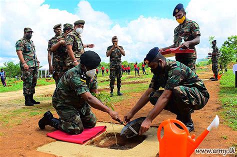Army Plants 100000 Saplings In The East In A Single Day