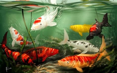 Koi pond 3d live wallpaper is a live wallpaper with beautiful backgrounds and fishes that enables you to have a aquarium experience better than the real world aquarium. 49+ Koi Live Wallpaper for PC on WallpaperSafari