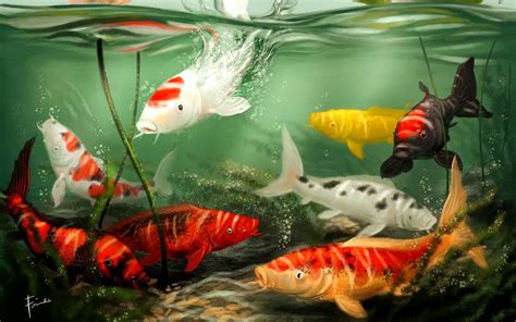 Hi, there you can download apk file japanese koi fish wallpaper for android free, apk file version is 18.0 to. Free download free download koi live wallpaper for pc koi fish live 1280x800 for your Desktop ...