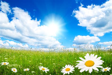 Free Download Free Springtime Hd Screensavers And Wallpaper Photos