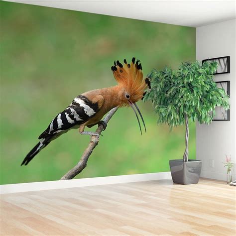 Hoopoe Bird Peel And Stick Or Classic Glue Wallpaper Mural Etsy