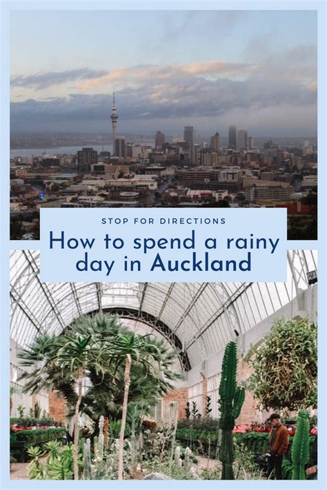 5 Things To Do In Auckland On A Rainy Day New Zealand Travel Guide