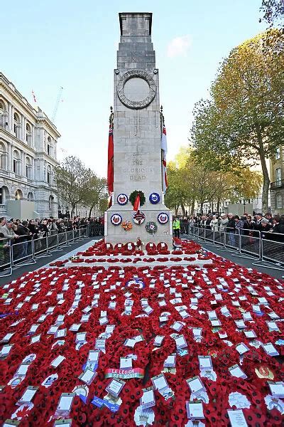 Poppies And Wreathed On Remembrance Day At The Cenotaph Framed Photos