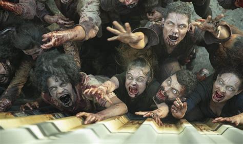 'Reality Z': Netflix zombie shows everyone needs to watch – Film Daily