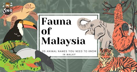 25 Captivating Names Of Animal In Malay Ling App