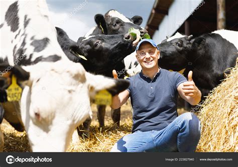 Fermier Heureux Parmi Les Vaches Image Libre De Droit Par Jenoche