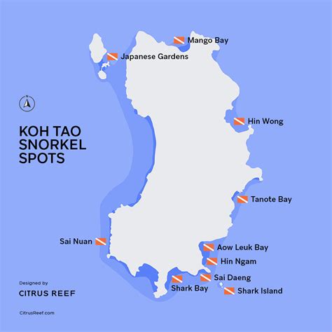 10 Best Koh Tao Snorkeling Spots Citrus Reef