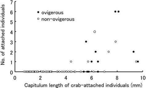 Relationship Between Capitulum Length Of Crab Attached Individuals Of Download Scientific