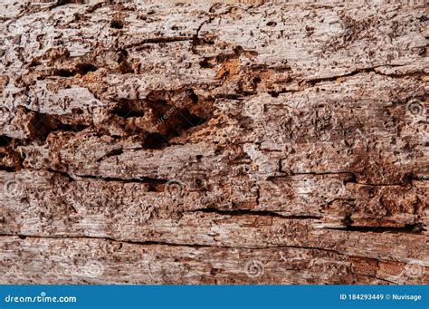 Old Grungy Wood Background Natural Wood Grain With Scratch And Cracks