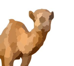Copy the html from the code box Camel In Your Face Clip Art at Clker.com - vector clip art ...