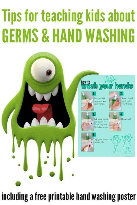 Teaching About Germs Scienceisfun